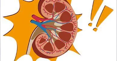 糖尿病肾病如何防治？