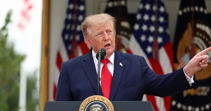 特朗普：移民是法国暴力事件的罪魁祸首，关闭你们的边境！