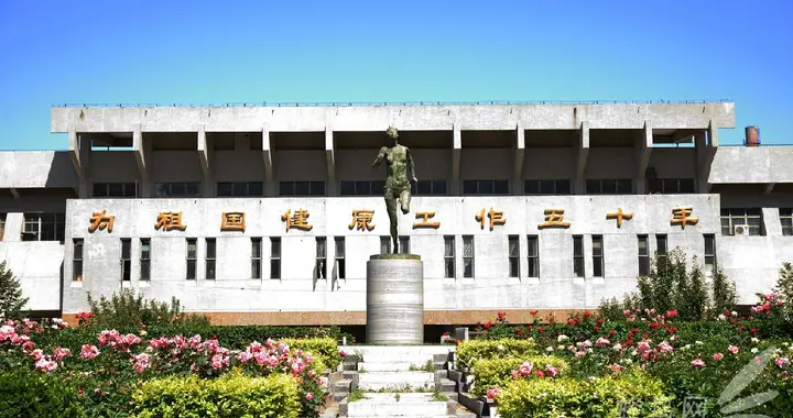 跑步多年的清华学子，劝你别被跑步害了！