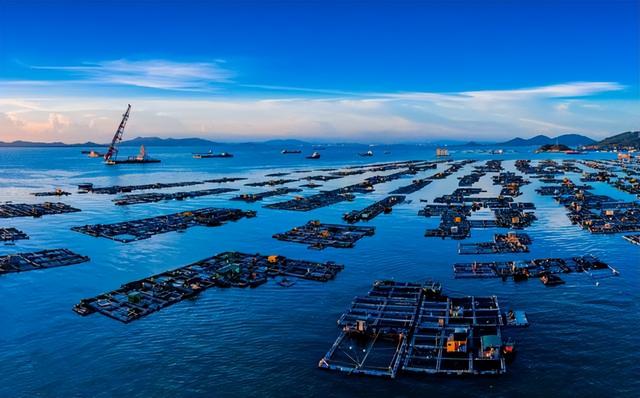 我国沙漠海鲜大丰收，出口到新加坡多国！能否彻底摆脱海外进口？