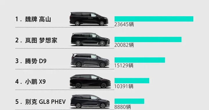 家用 MPV 人气王魏牌高山，带火MPV热潮