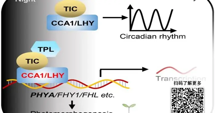 一周要闻：“负能界面”金属有望突破纳米金属极限