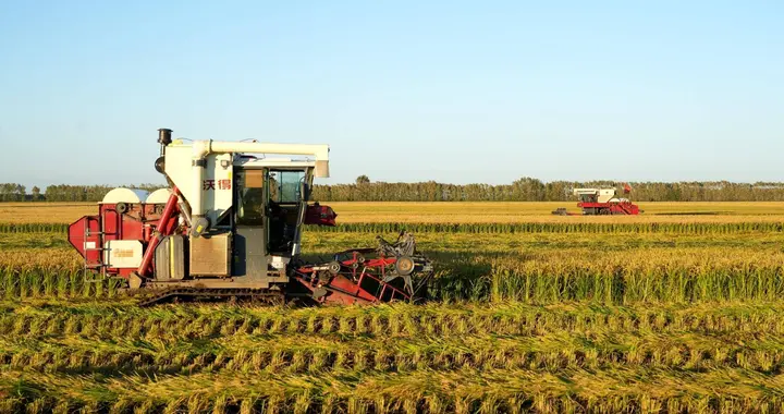 上海种地第一名！中国最会种地的城市，为啥是上海？