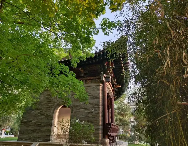 练瑜伽，那些能量越练越强的人，都有这个特点！