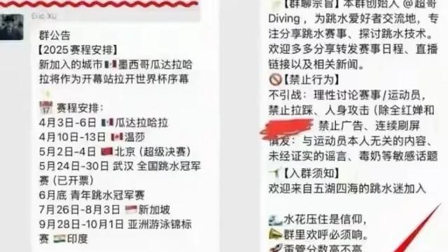 杜迪嘎瓦：太缺德了， 这282个跳水圈里