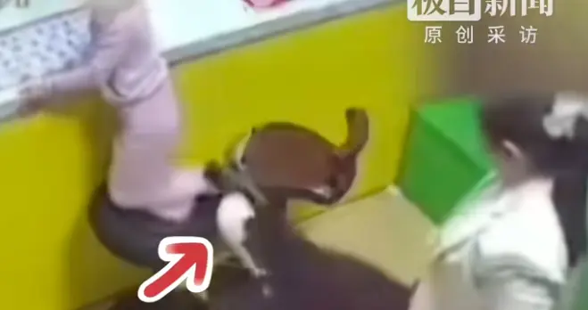 4岁女孩买汉堡遭女子踢踹后续：女子身份曝光，女孩情况令人担心