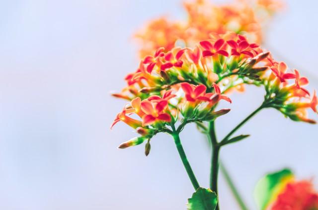 年轻30岁，试试这样做！