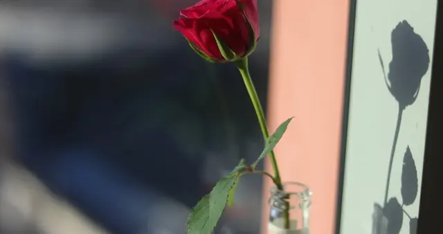 扎心的现实，为何离了的婚女人，宁可孤独终老也不愿复婚