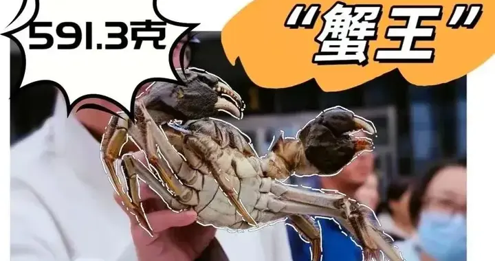 超级大闸蟹，正在常州这个湖里疯狂生长