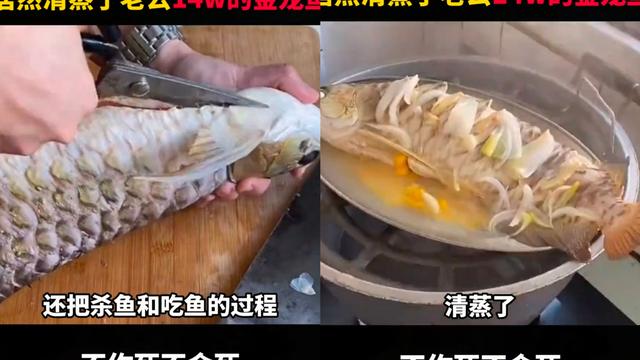 招财进宝：太好笑了，一名女子就因为老公不