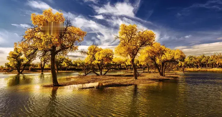 大乐透，25127期，不同出号码，杀号预测