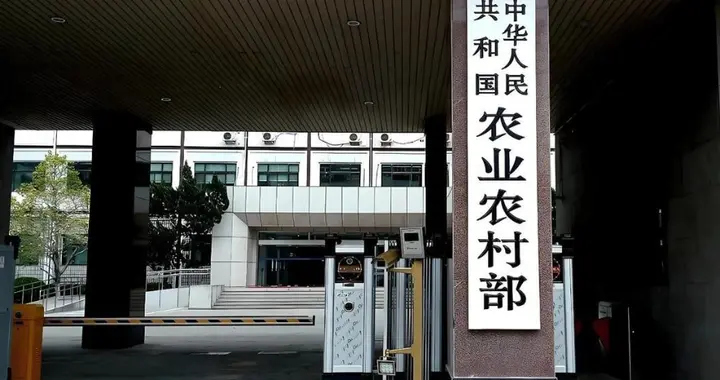 最高人民法院拍板定论：农村的老房子倒塌后，宅基地依旧属于村民
