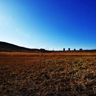 河南人在天津：四补 人要活的精神离不开这