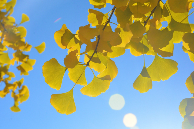 唯愿岁月无波澜，所念之人皆平安