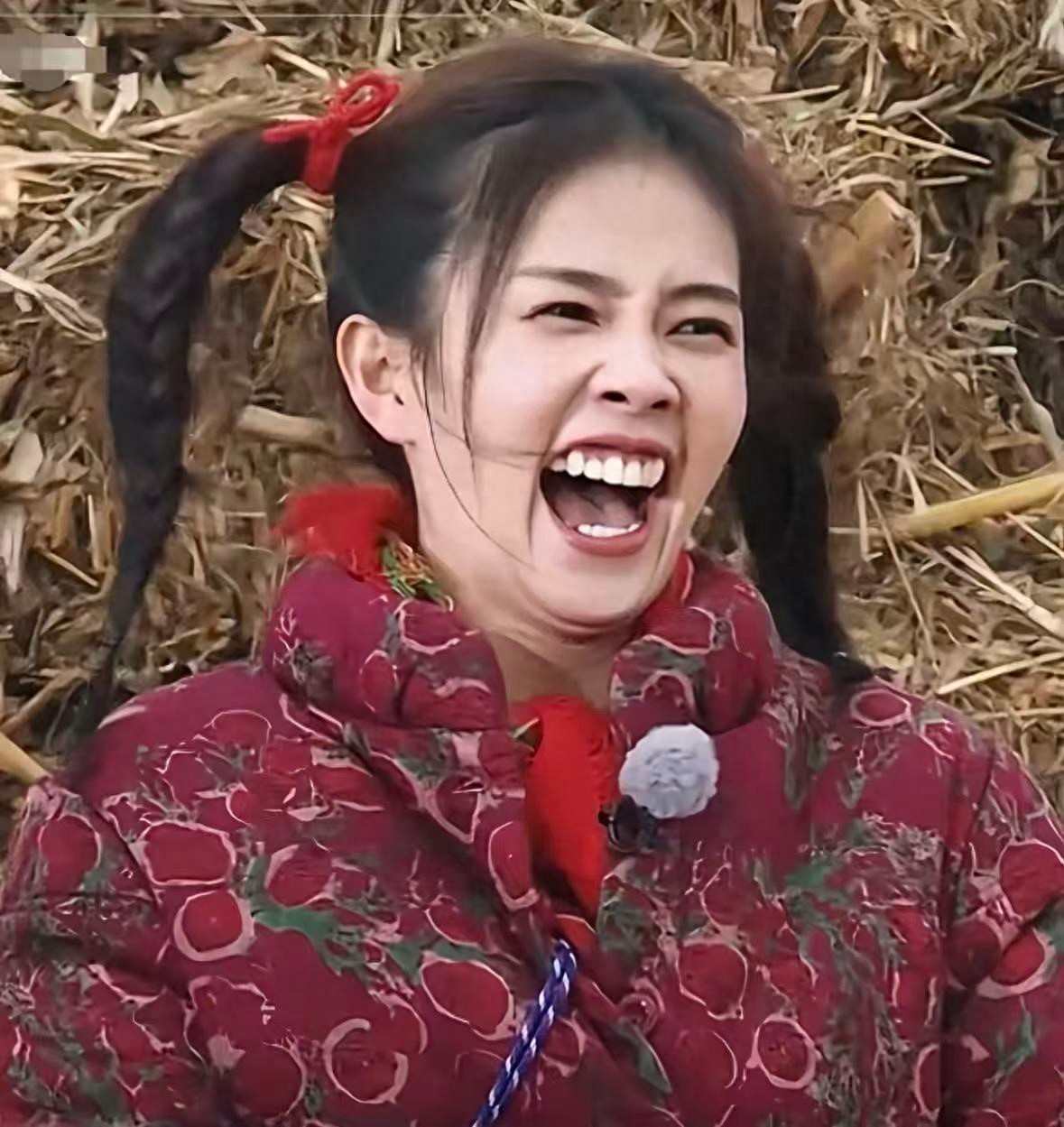 事态失控！女星白鹿突然掉20万粉，评论区炸锅网友为李晨鸣不平