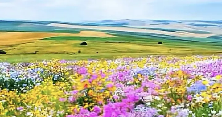 以善待人，用心处世