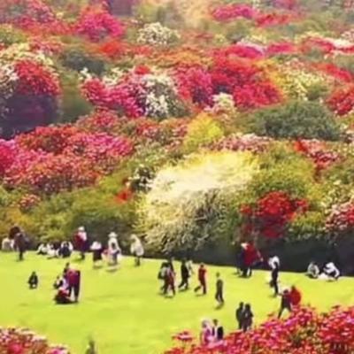 光明文章：十年以后，50后、60后面对的