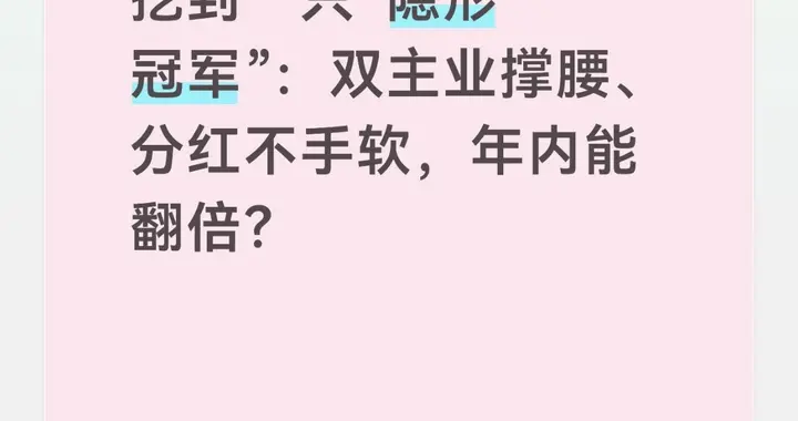 挖到一只“隐形冠军”：双主业撑腰、分红不手软，年内能翻倍？