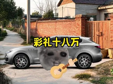 当你用彩礼钱买了车回家…