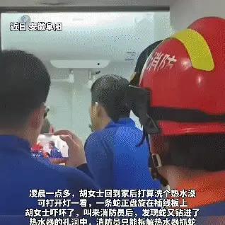 风雪慕晴：凌晨女子洗澡抬头 撞见蛇盘在插