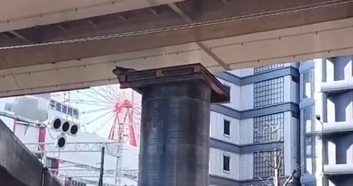 日媒：大阪街头巨型管状物拔地而起 官方紧急调查