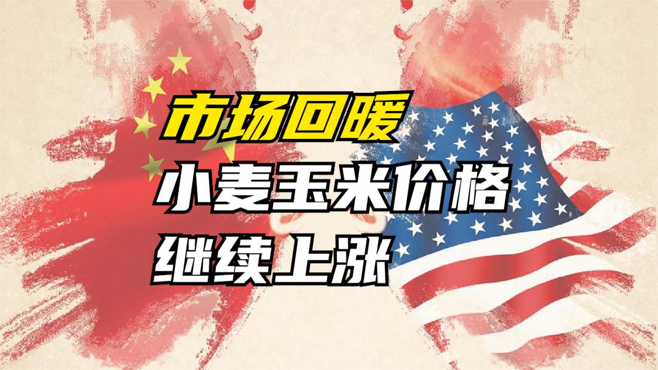 市场回暖我国主产区小麦玉米价格继续上涨