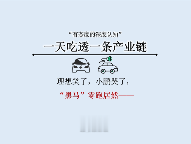 理想笑了，小鹏哭了，“黑马”零跑居然——