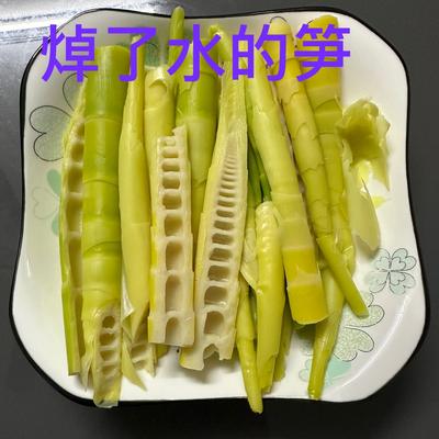 韧心渡岁月： 下午