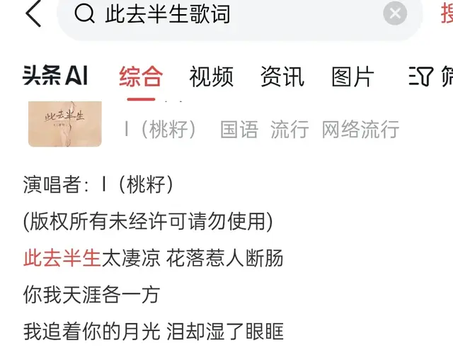 此去半生，千面百搭(歌词浅析)