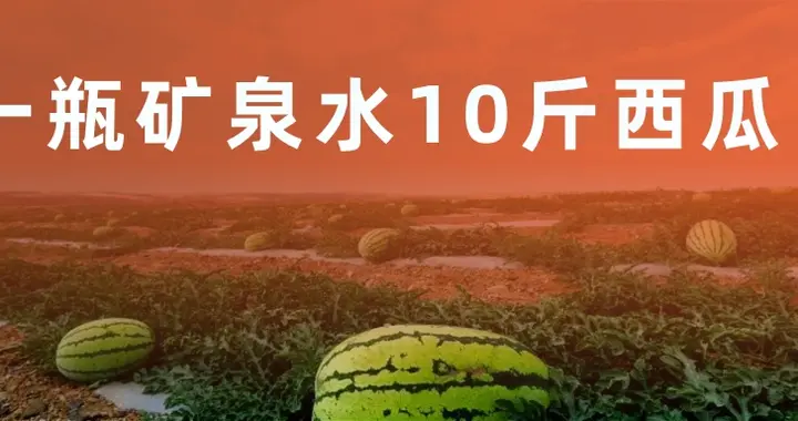 10斤西瓜卖不过一瓶矿泉水