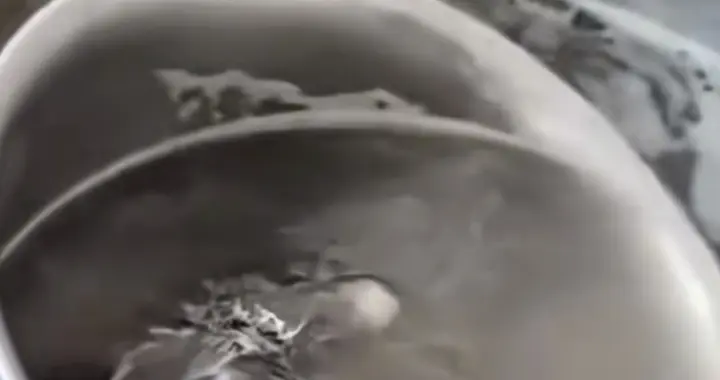 百色早餐店惊现死鼠！汤锅捞出异物官方通报：立案调查+停业整改