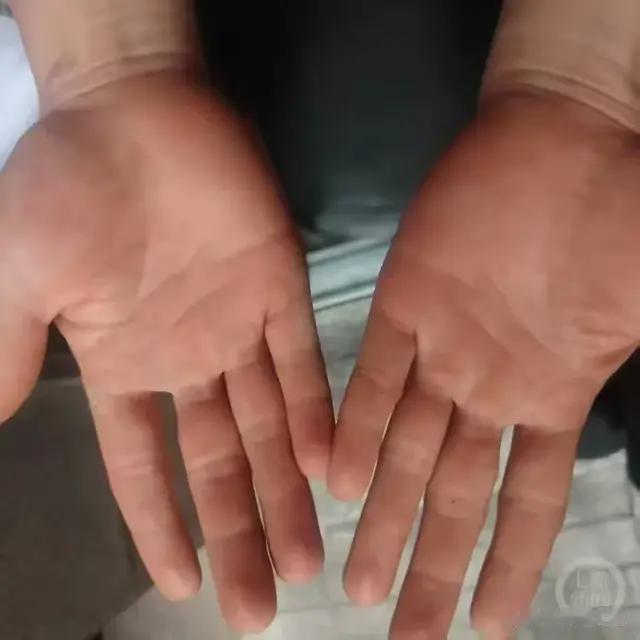 五一爆火！这座小城靠"鹅"出圈，政府食堂日均剁鹅800只！