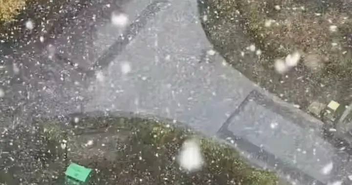 大同下起鹅毛大雪！一边赏雪景一边拉警报，冷暖反差太真实