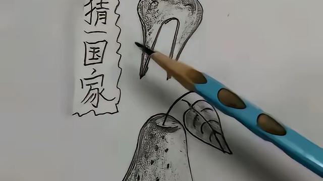 比格林奇：打一国家