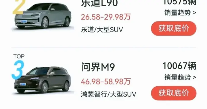 全尺寸SUV成为中国家庭购车首选?