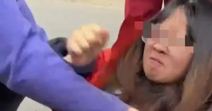 女子误打向导事件后续：女子已道歉，双方和解，打人是出现幻觉