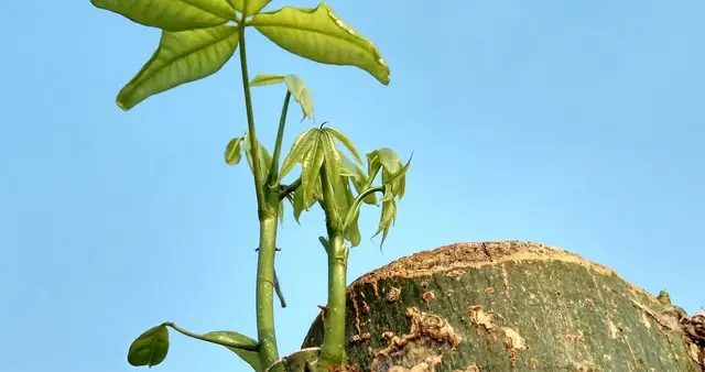 随心所欲的生活，说不定更顺风顺水