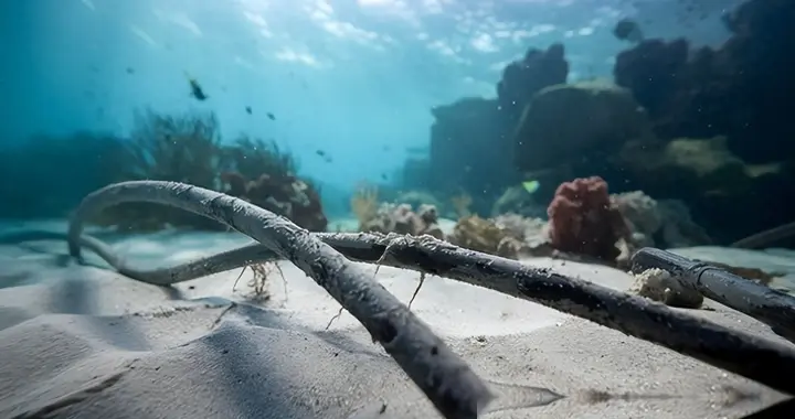 美国媒体曾称：美法日垄断的海底光缆，被江苏南通人攻克