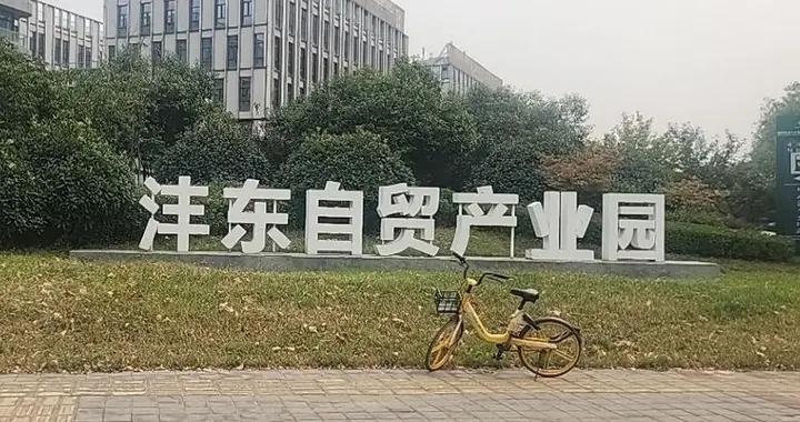 沣东自贸园为什么没有发展起来？