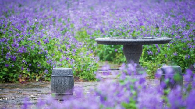 家有考生001：碰到一位学生家长对我态度