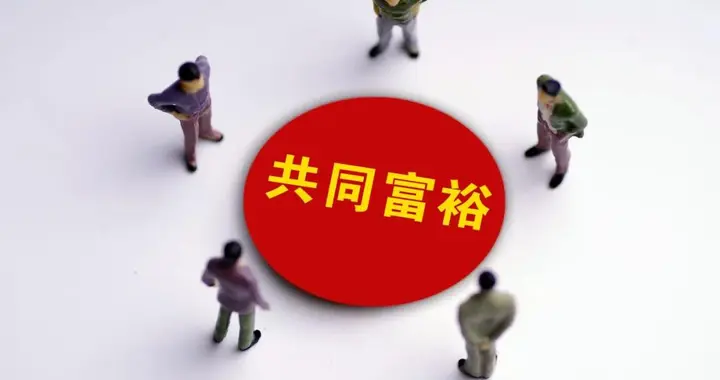 如何看待生产与消费的失衡？孙玉良：社会主义应走出不一样的道路