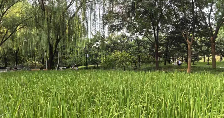 东方通的财务造假生意经，一批股民索赔起诉材料已提交