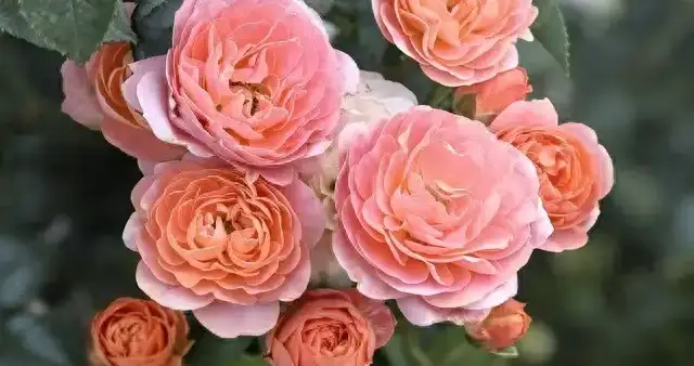 能被外面男人撬走的女人，一般都是这两个地方出了问题