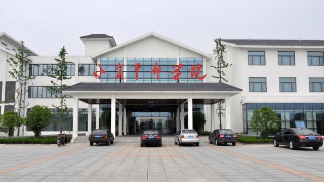 长空飞鹰：关注小岗村这么长时间，第一次知