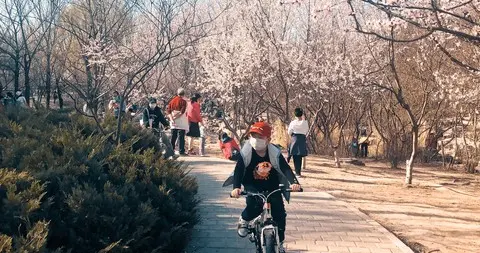 昆山天气大反转！周末赶紧赏花，下周冷空气+雨水杀到