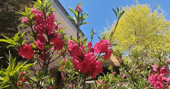 抬头就是治愈，这才是生活该有的蓝天