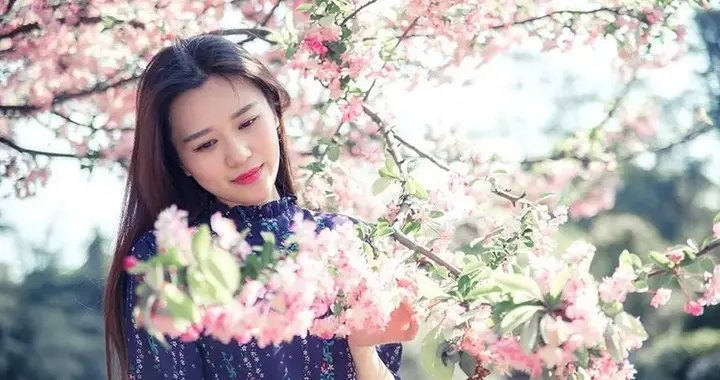 心的秘密花园：揭开隐藏的情感波澜