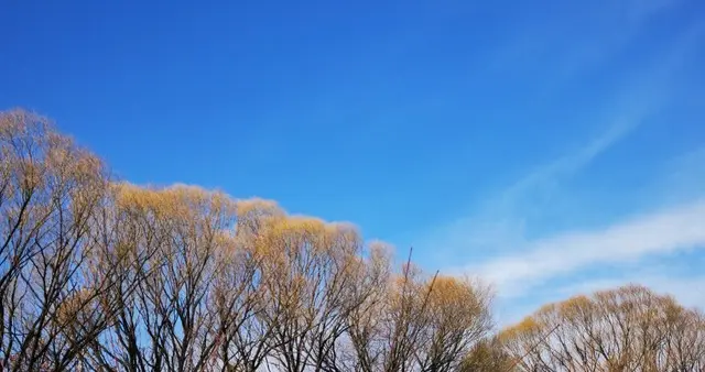 快看，太神啦！立春后你心心念念之事，即将迎来超棒好结果！