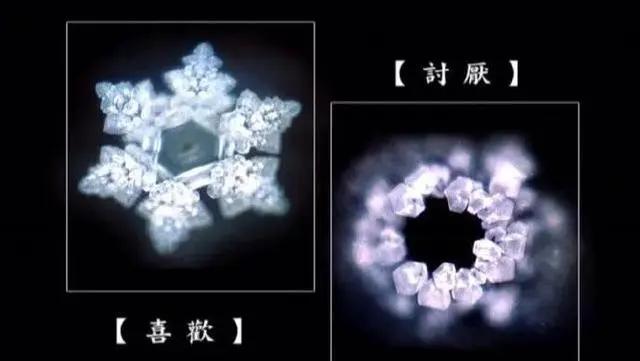易经中的宇宙密码 量子态意识 人类的“灵魂”工厂？