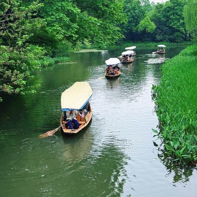 雁行江湖：西湖的春天， 是抹茶味的。